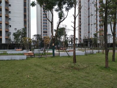 宜宾绿园小区新楼房,10年内付完54万